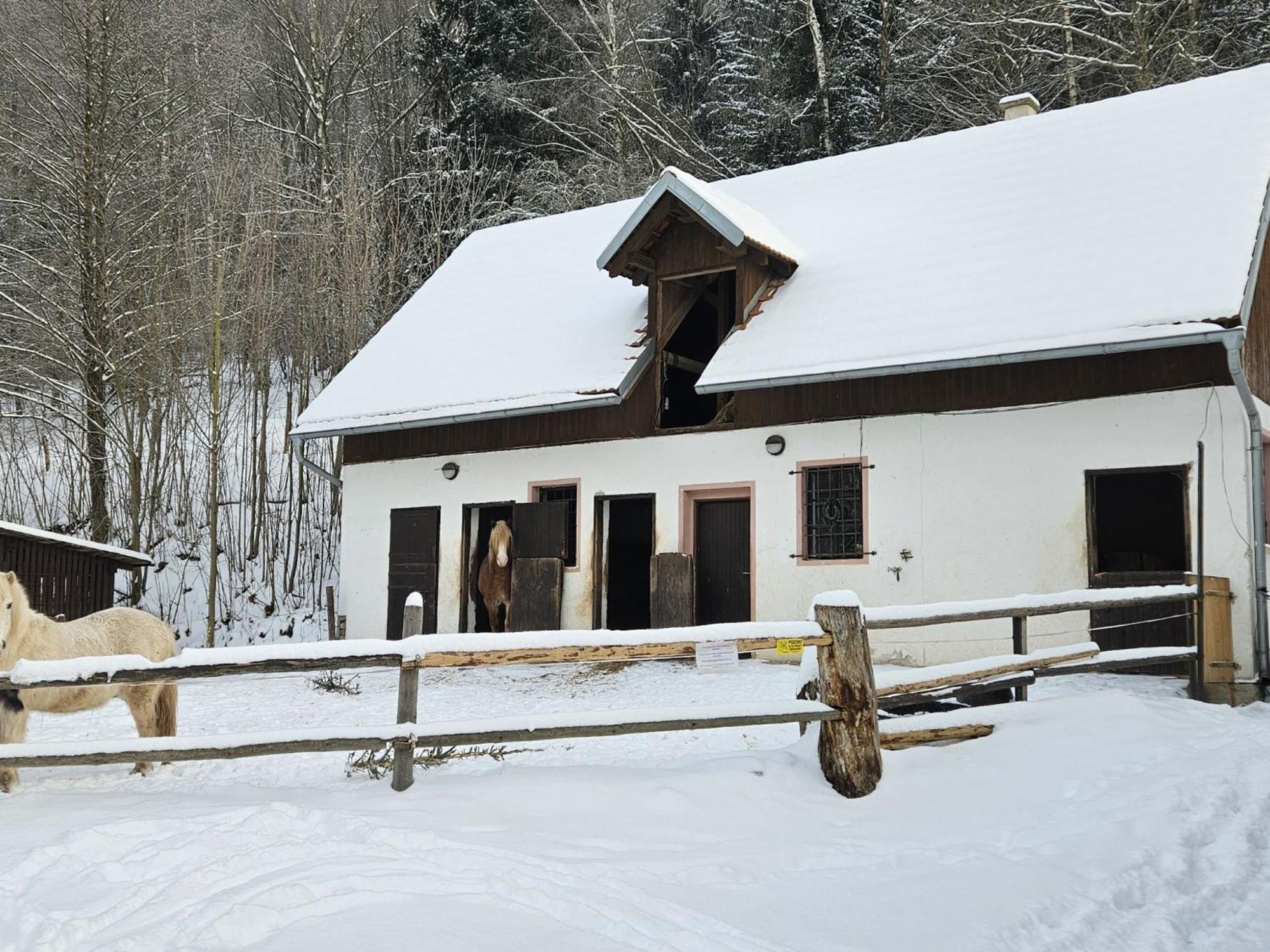 Holiday Home Starkov By Interhome Dış mekan fotoğraf